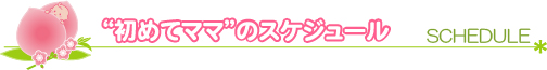 初めてママのスケジュール
